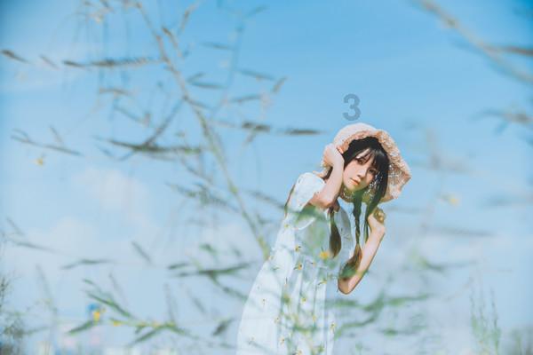 信长之野望13
